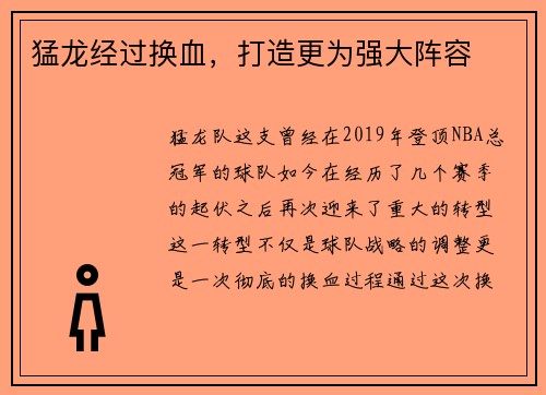 猛龙经过换血，打造更为强大阵容