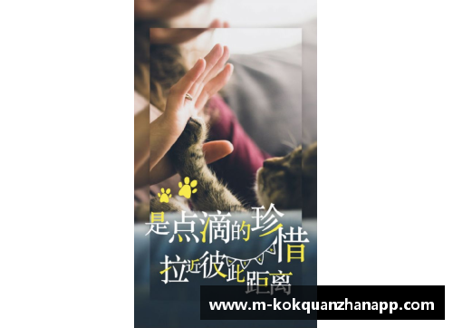kok全站app官方app下载C罗连续5轮进球无力救主，尤文连胜终结，AC米兰强势领跑意甲