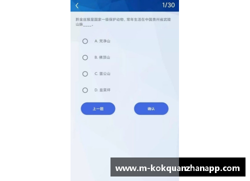 kok全站app官方app下载篮球巨星的荣耀，棒球场上的新挑战