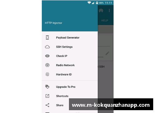 kok全站app官方app下载足球星视界的女主持探秘绿茵场上的荣耀与挑战之旅